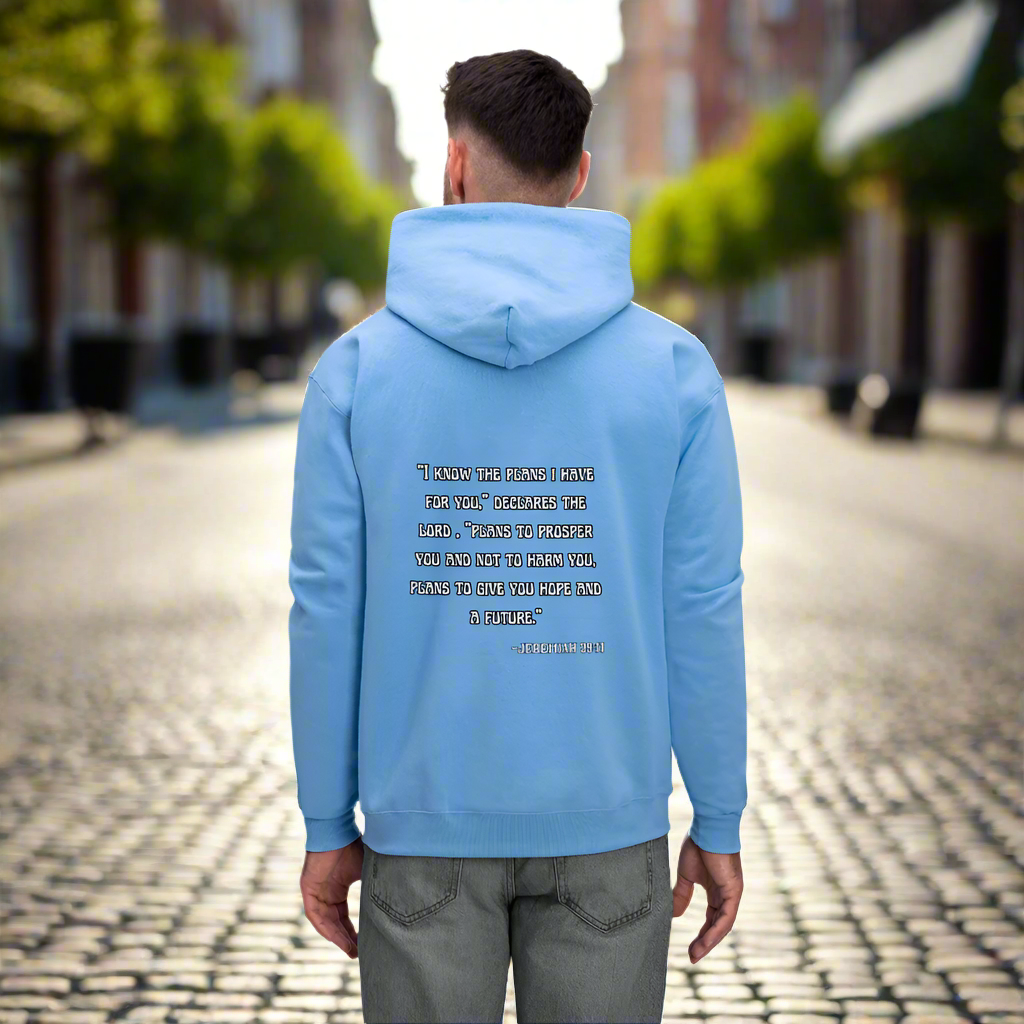 'I know the plans' Carolina Blue Hoodie Thrive Collection - carolina blue