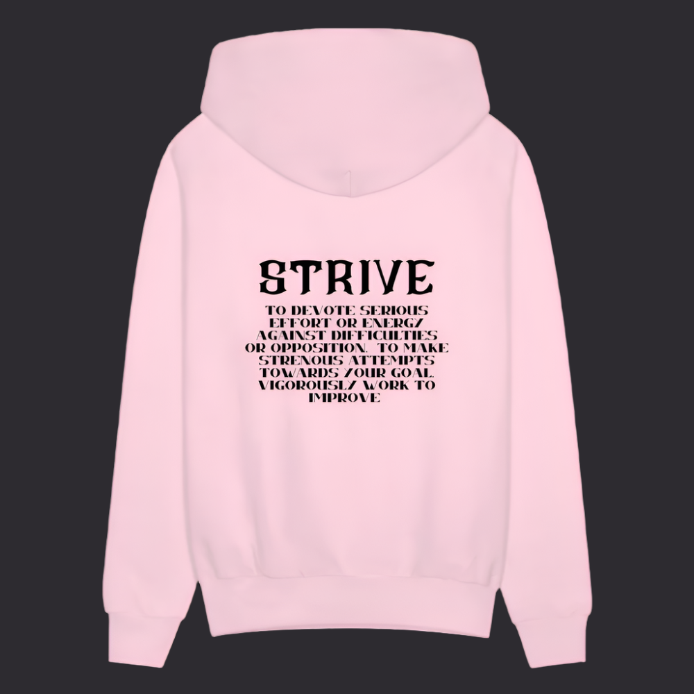 Pink Boyz N The Hoodies Pink Strive Hoodie - pale pink