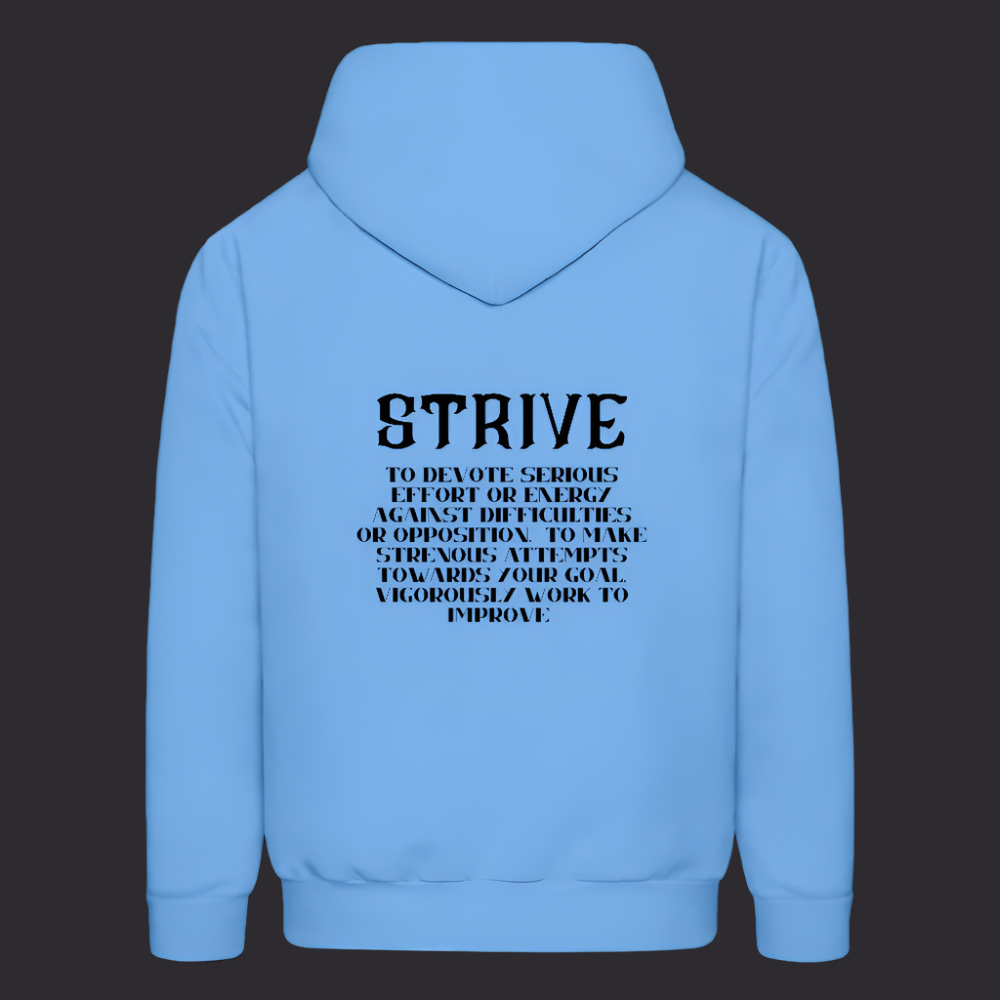 Car Bl Boyz N The Hoodies Carolina Blue Strive Hoodie - carolina blue