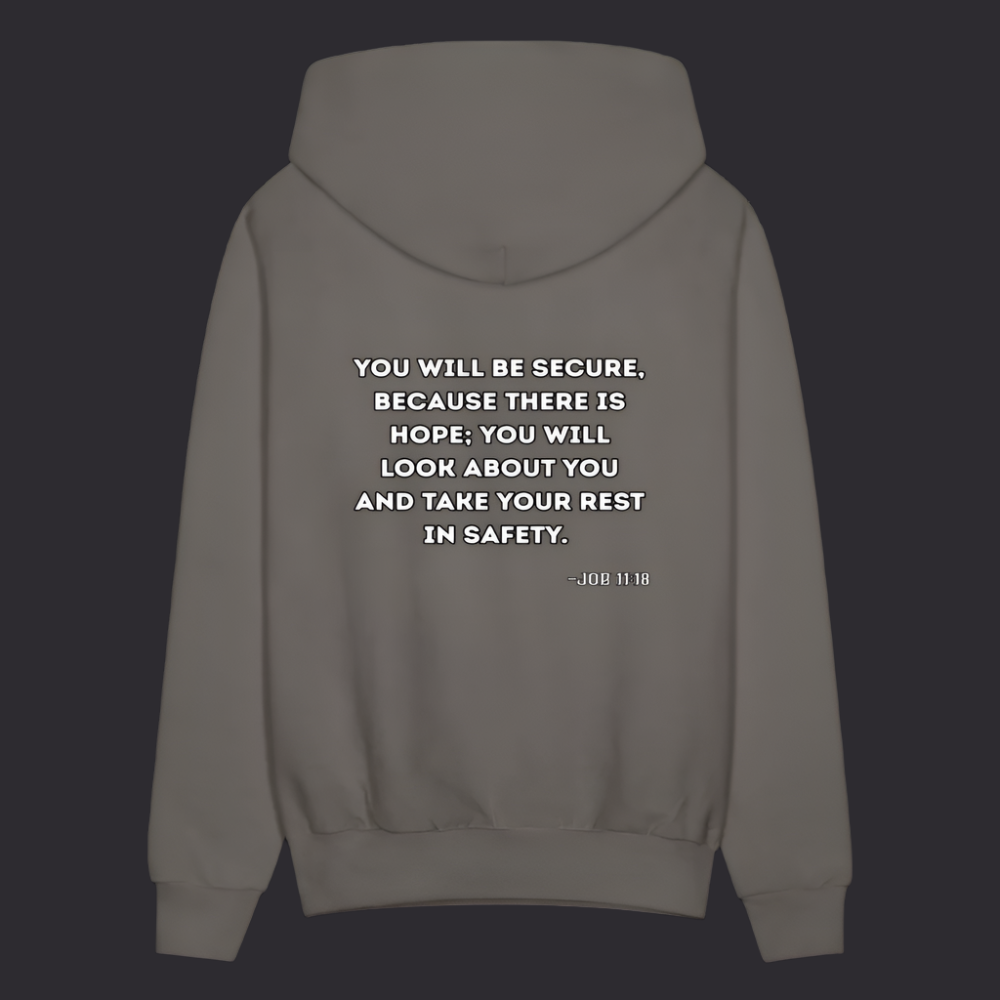 'You will be secure' Asphalt Gray Hoodie Strive Collection - asphalt gray